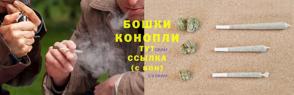 твердый Инта