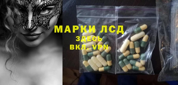 МДПВ Инсар