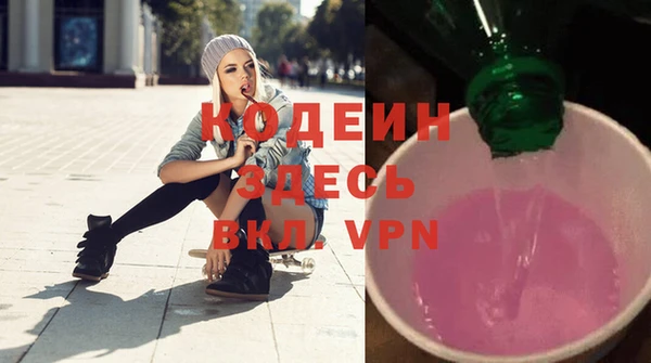 твердый Инта