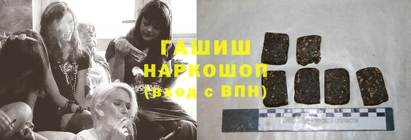 МДПВ Инсар