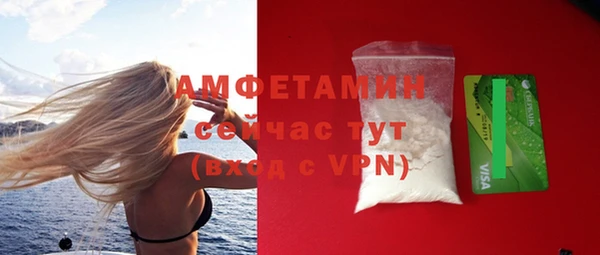 МДПВ Инсар