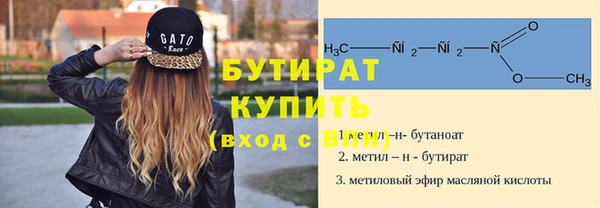 твердый Инта
