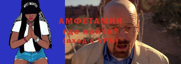 твердый Инта