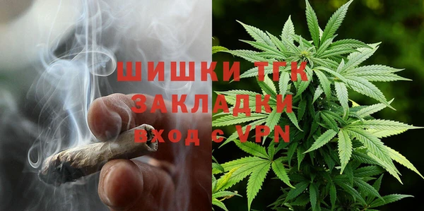 твердый Инта