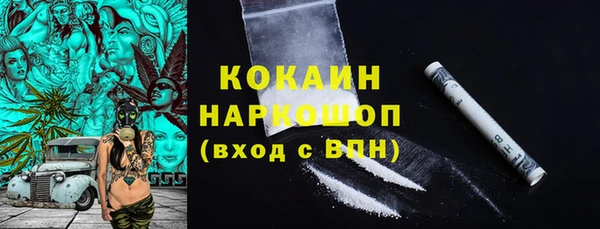 твердый Инта