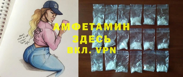 твердый Инта