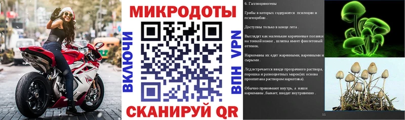 Псилоцибиновые грибы GOLDEN TEACHER Дрезна